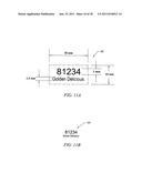 Multi-layer, light markable media and method and automatic and manually     operated apparatus for using same diagram and image