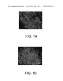 CARBON-CONTAINING MATRIX WITH ADDITIVE THAT IS NOT A METAL diagram and image