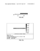 DEVICE FOR COLLIMATING, MAKING UNIFORM AND EXTRACTING LIGHT FOR LIGHTING A     DISPLAY DEVICE diagram and image