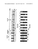 INFORMATION RECORDING MEDIUM, AND RECORDING METHOD AND REPRODUCING METHOD     THEREOF diagram and image