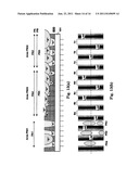 INFORMATION RECORDING MEDIUM, AND RECORDING METHOD AND REPRODUCING METHOD     THEREOF diagram and image