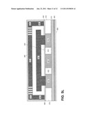 THERMAL SENSORS HAVING FLEXIBLE SUBSTRATES AND USE THEREOF diagram and image
