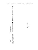 ELECTRONIC GRADE METAL NANOSTRUCTURES diagram and image