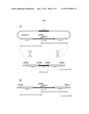 REDUCED COLONIZATION OF MICROBES AT THE MUCOSA diagram and image