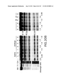 RIBOSWITCHES, METHODS FOR THEIR USE, AND COMPOSITIONS FOR USE WITH     RIBOSWITCHES diagram and image