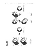 FULLY HUMAN ANTI-HUMAN NKG2D MONOCLONAL ANTIBODIES diagram and image