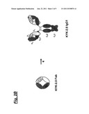 FULLY HUMAN ANTI-HUMAN NKG2D MONOCLONAL ANTIBODIES diagram and image