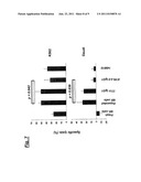 FULLY HUMAN ANTI-HUMAN NKG2D MONOCLONAL ANTIBODIES diagram and image