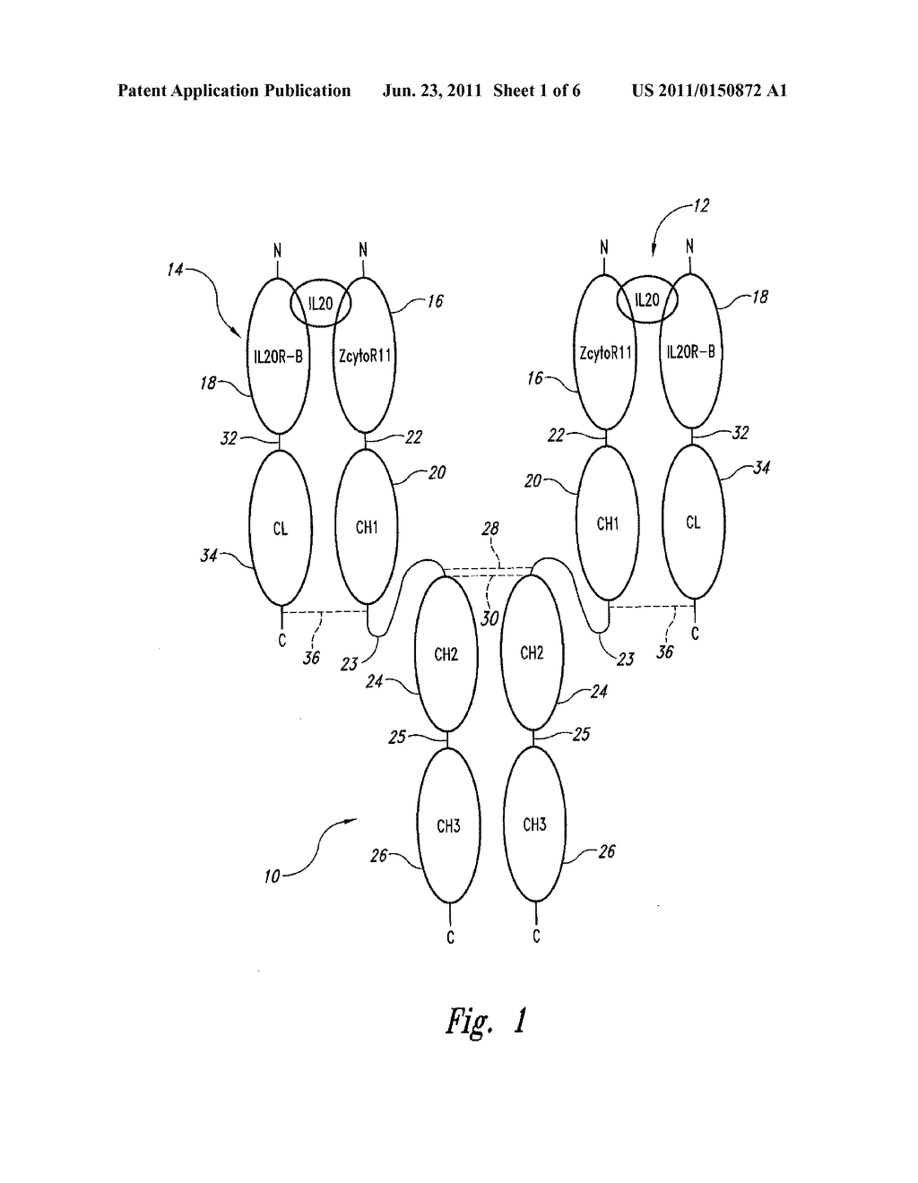 SOLUBLE HETERODIMERIC CYTOKINE RECEPTOR - diagram, schematic, and image 02