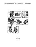 CRYSTALLINE COMPOSITION OF GM-CSF/GM-CSFR diagram and image