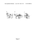 CRYSTALLINE COMPOSITION OF GM-CSF/GM-CSFR diagram and image