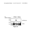 CRYSTALLINE COMPOSITION OF GM-CSF/GM-CSFR diagram and image