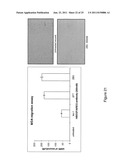 ANTI-AREG/HB-EGF ANTIBODIES AND TREATMENT diagram and image