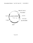 FGF-R4 RECEPTOR-SPECIFIC ANTAGONISTS diagram and image