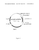 FGF-R4 RECEPTOR-SPECIFIC ANTAGONISTS diagram and image