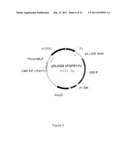 FGF-R4 RECEPTOR-SPECIFIC ANTAGONISTS diagram and image