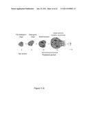 FGF-R4 RECEPTOR-SPECIFIC ANTAGONISTS diagram and image