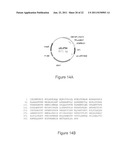 FGF-R4 RECEPTOR-SPECIFIC ANTAGONISTS diagram and image