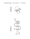 NOVEL FUSION PROTEINS AND USE THEREOF FOR PREPARING HEPATITIS C VACCINES diagram and image