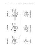 NOVEL FUSION PROTEINS AND USE THEREOF FOR PREPARING HEPATITIS C VACCINES diagram and image