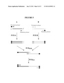 NOVEL FUSION PROTEINS AND USE THEREOF FOR PREPARING HEPATITIS C VACCINES diagram and image