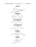 MUCOSAL MENINGOCOCCAL VACCINES diagram and image