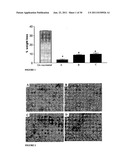 INFLUENZA VACCINES diagram and image