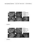 INFLUENZA VACCINES diagram and image