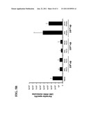 Recombinant viral-based malaria vaccines diagram and image