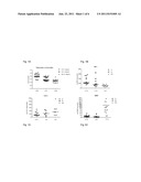 METHODS AND MEANS FOR SOFT TISSUE ENGINEERING diagram and image