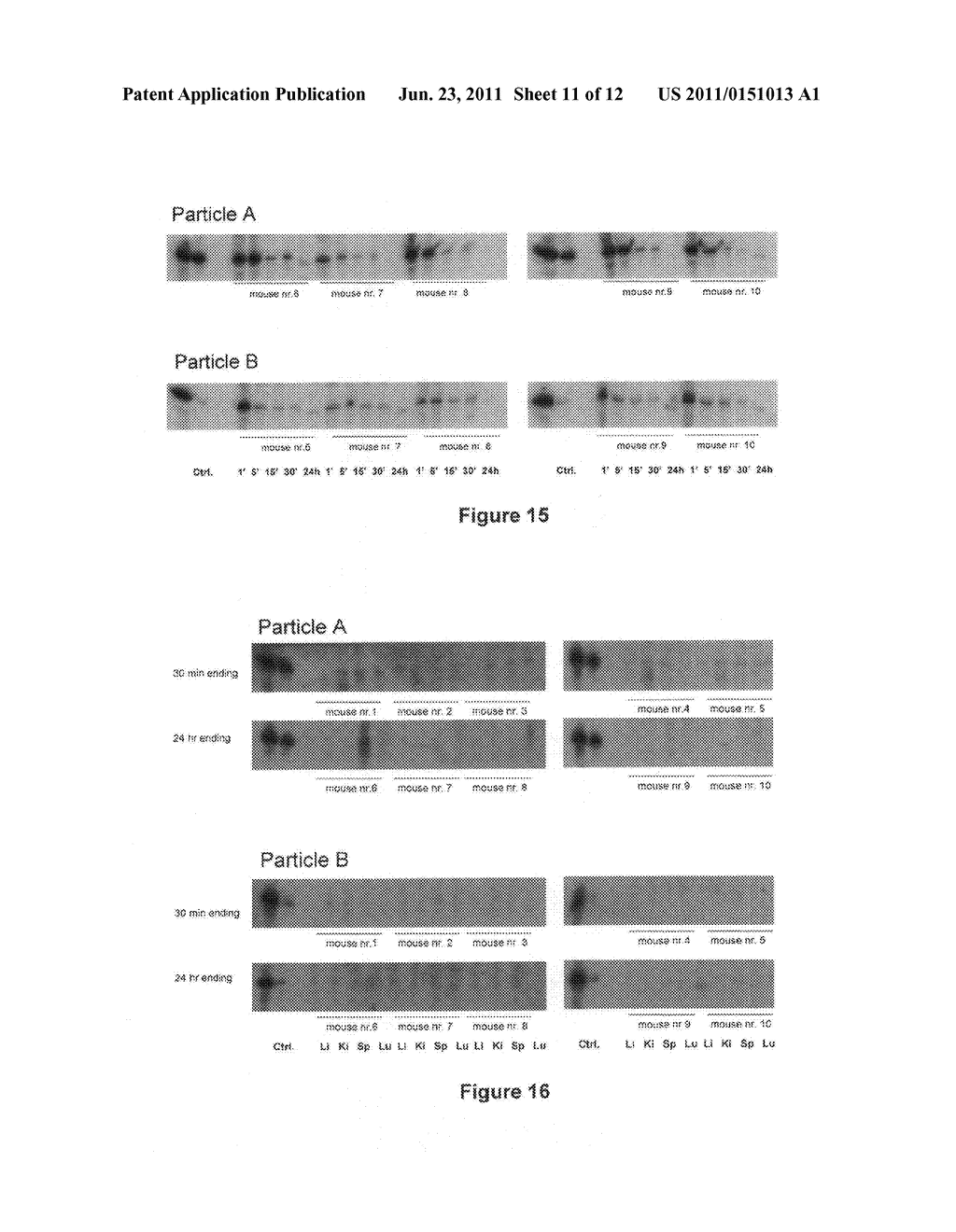 AMPHIPHILIC BLOCK COPOLYMERS FOR NUCLEIC ACID DELIVERY - diagram, schematic, and image 12