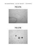 ACTIVE SUBSTANCE COMBINATION WITH GEMCITABINE FOR THE TREATMENT OF     EPITHELIAL CANCER diagram and image