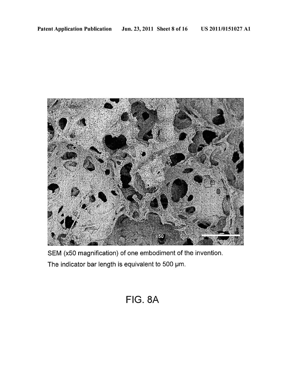 STRONTIUM-DOPED CALCIUM PHOSPHATE BONE GRAFT MATERIALS - diagram, schematic, and image 09