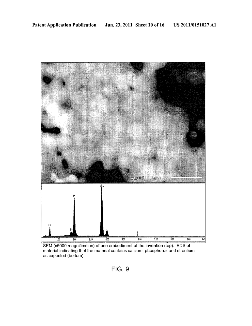 STRONTIUM-DOPED CALCIUM PHOSPHATE BONE GRAFT MATERIALS - diagram, schematic, and image 11