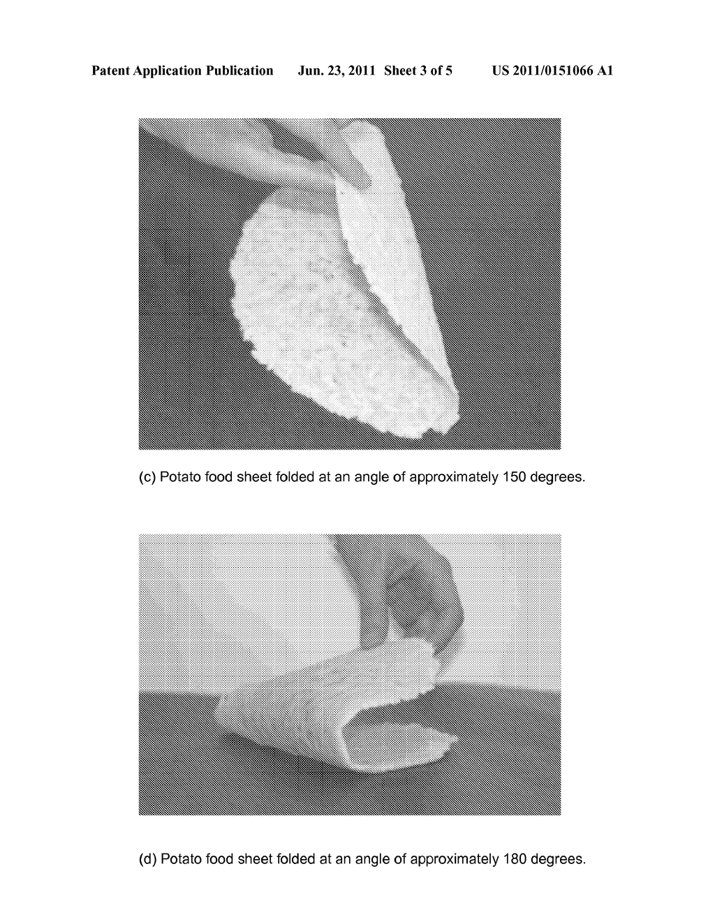 FOLDABLE ROOT VEGETABLE FOOD SHEET - diagram, schematic, and image 04