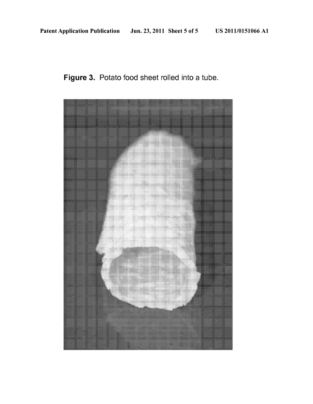 FOLDABLE ROOT VEGETABLE FOOD SHEET - diagram, schematic, and image 06