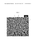 SILICA NANOPARTICLE STRUCTURE AND PROCESS FOR PRODUCTION OF SAME diagram and image