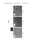 SILICA NANOPARTICLE STRUCTURE AND PROCESS FOR PRODUCTION OF SAME diagram and image