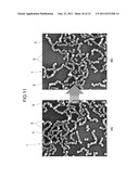 SILICA NANOPARTICLE STRUCTURE AND PROCESS FOR PRODUCTION OF SAME diagram and image