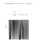 High Fidelity Restriction Endonucleases diagram and image