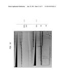 High Fidelity Restriction Endonucleases diagram and image