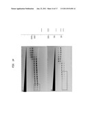 High Fidelity Restriction Endonucleases diagram and image