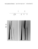 High Fidelity Restriction Endonucleases diagram and image