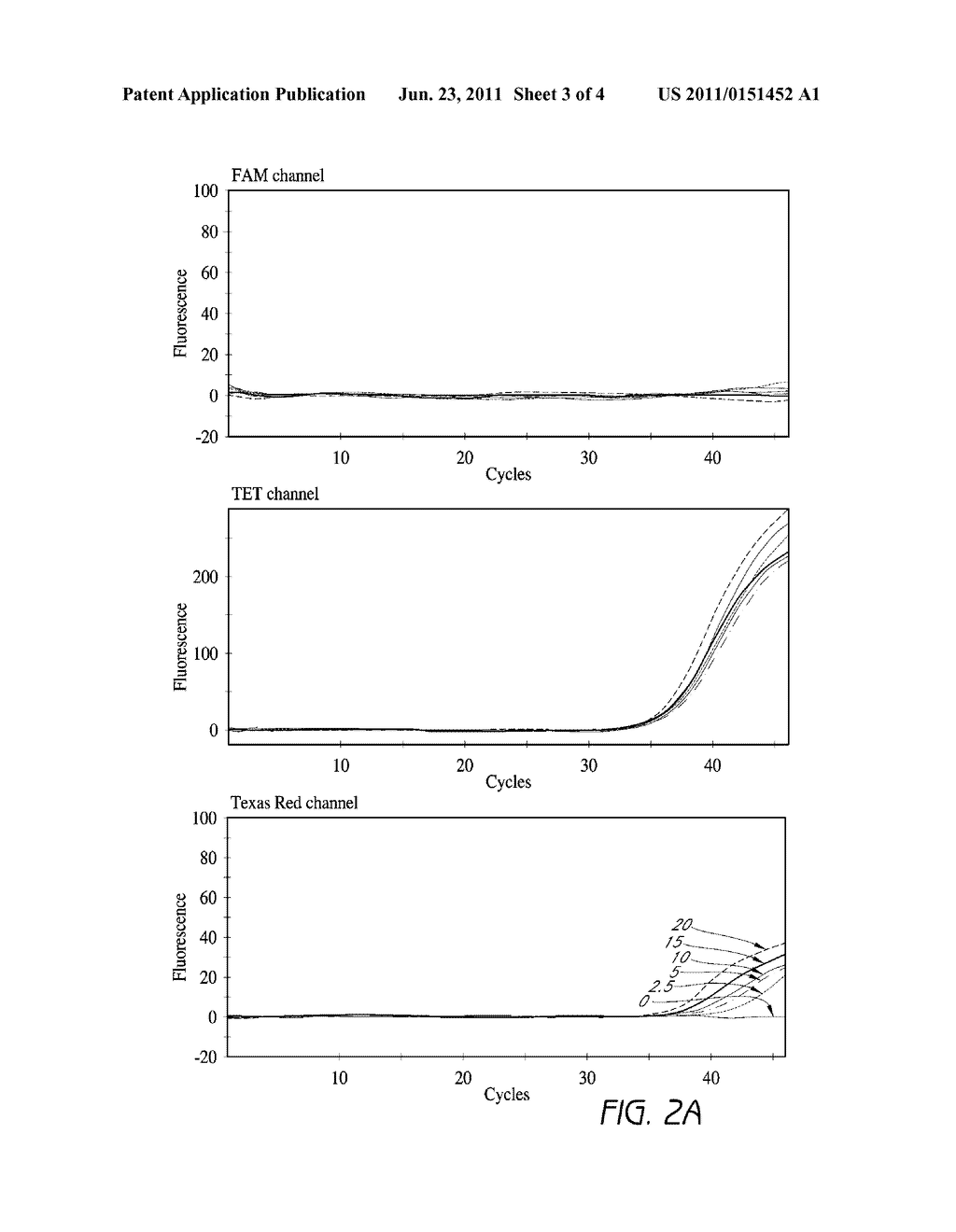 DETECTION OF STAPHYLOCOCCUS AUREUS AND IDENTIFICATION OF     METHICILLIN-RESISTANT STAPHYLOCOCCUS AUREUS - diagram, schematic, and image 04