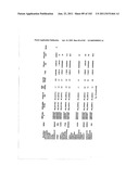 URINE GENE EXPRESSION RATIOS FOR DETECTION OF CANCER diagram and image