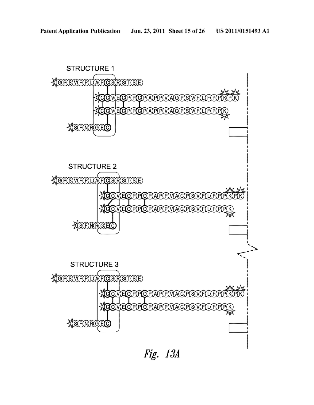 POLYPEPTIDE DISULFIDE BOND ANALYSIS - diagram, schematic, and image 16