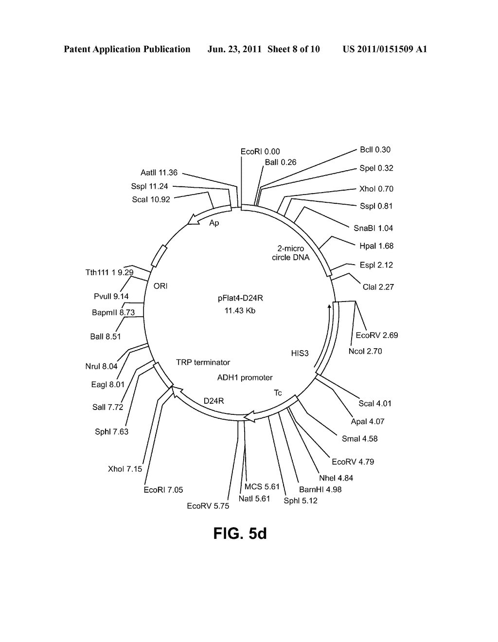 PREPARATION OF 7-DEHYDROCHOLESTEROL AND/OR THE BIOSYNTHETIC INTERMEDIATES     AND/OR SECONDARY PRODUCTS THEREOF IN TRANSGENIC ORGANISMS - diagram, schematic, and image 09