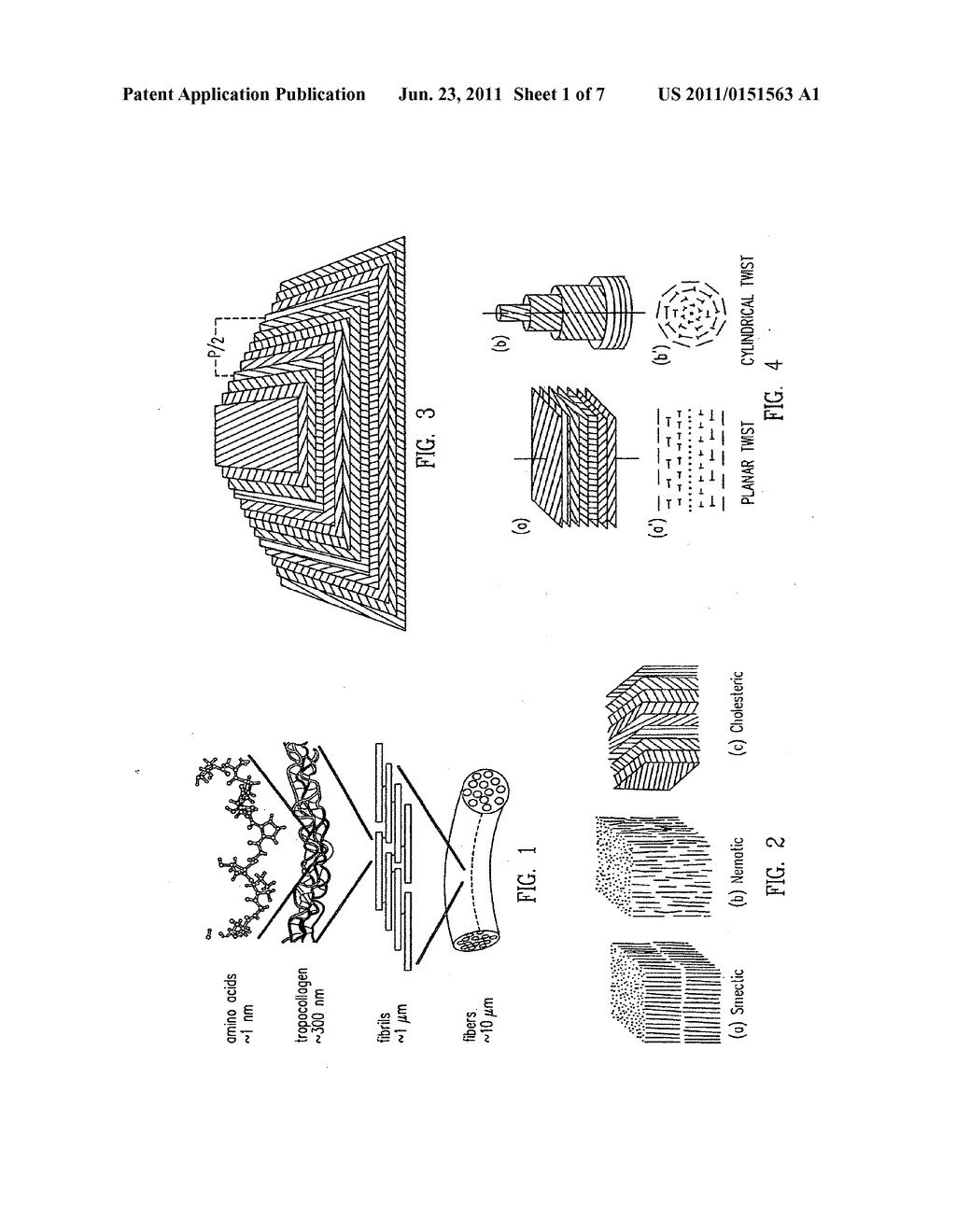 Collagen Materials, Films and Methods of Making Same - diagram, schematic, and image 02