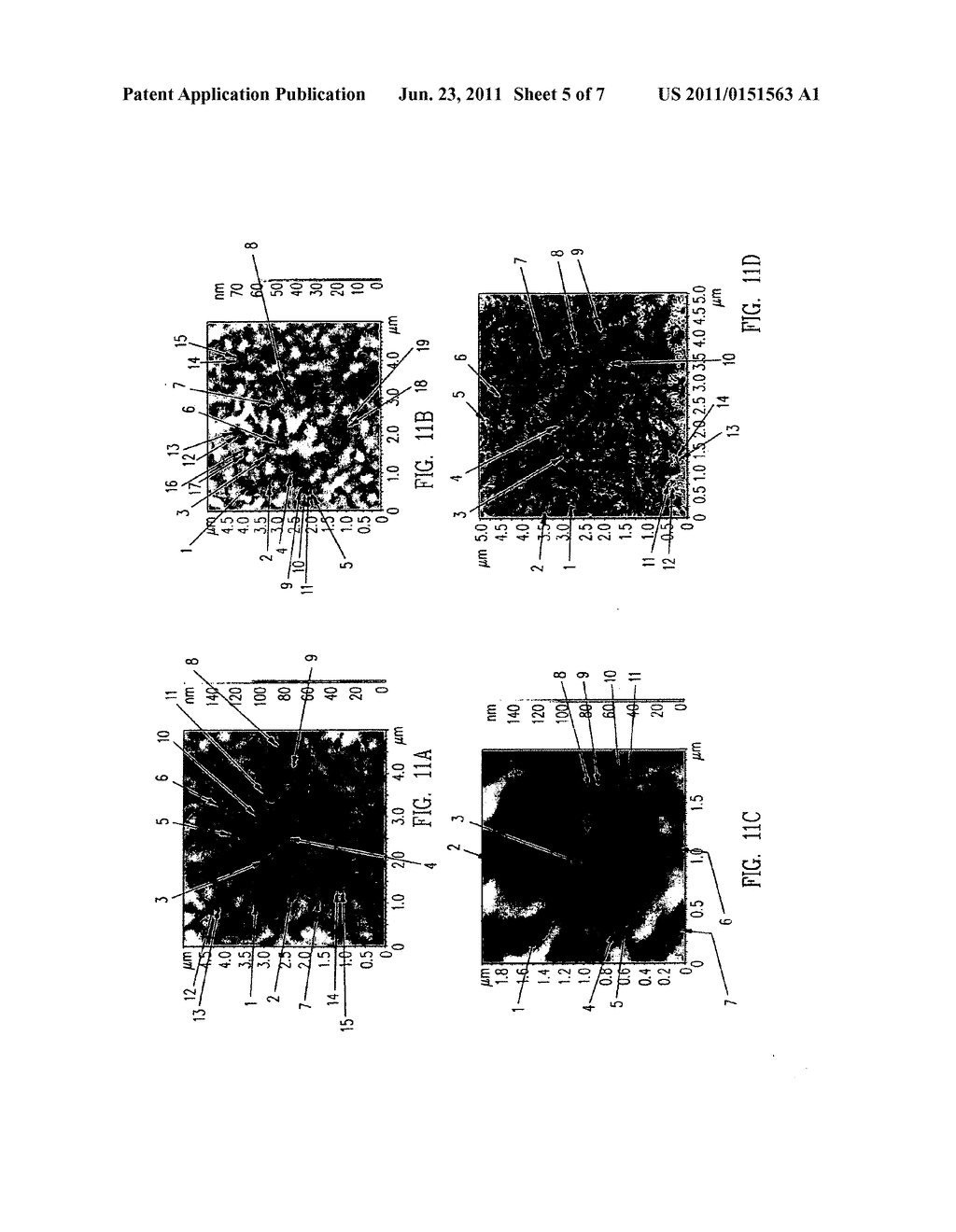 Collagen Materials, Films and Methods of Making Same - diagram, schematic, and image 06