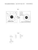 POLYMER ENCAPSULATED PARTICLES AS SURFACE ENHANCED RAMAN SCATTERING PROBES diagram and image